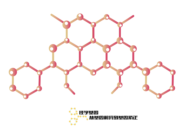 【佳學(xué)基因檢測(cè)】如何做PINULL（香港1）基因解碼、<a href=http://deyicom.cn/tk/jiema/cexujishu/2021/31933.html>基因檢測(cè)</a>？