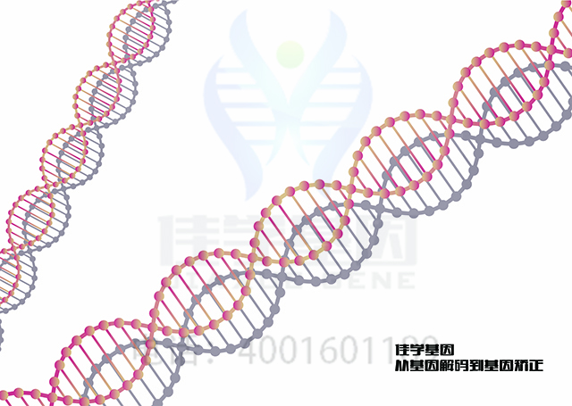 【佳學(xué)基因檢測(cè)】做馬凡綜合癥樣疾病基因解碼、<a href=http://deyicom.cn/tk/jiema/cexujishu/2021/31933.html>基因檢測(cè)</a>方便嗎？