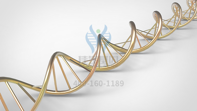 【佳學基因檢測】如何做先天性染色體疾病基因解碼、<a href=http://deyicom.cn/tk/jiema/cexujishu/2021/31933.html>基因檢測</a>？