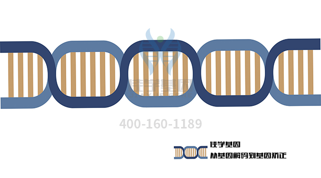 【佳學基因檢測】做慢性腸假性梗阻基因解碼、<a href=http://deyicom.cn/tk/jiema/cexujishu/2021/31933.html>基因檢測</a>的費用是多少？