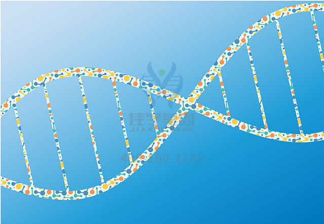 【佳學基因檢測】如何做唇裂/腭裂-外胚層發(fā)育不良綜合征基因解碼、<a href=http://deyicom.cn/tk/jiema/cexujishu/2021/31933.html>基因檢測</a>？
