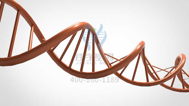 【佳學(xué)基因檢測】如何區(qū)分致死性先天性攣縮綜合征9型基因解碼、<a href=http://deyicom.cn/tk/jiema/cexujishu/2021/31933.html>基因檢測</a>？