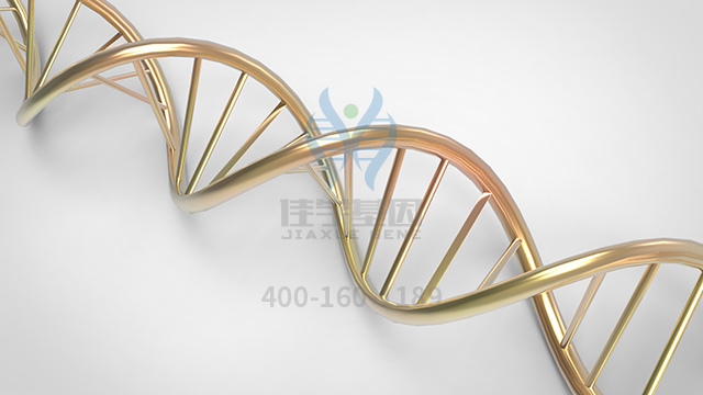 【佳學基因檢測】怎么做丘疹基因解碼、<a href=http://deyicom.cn/tk/jiema/cexujishu/2021/31933.html>基因檢測</a>?