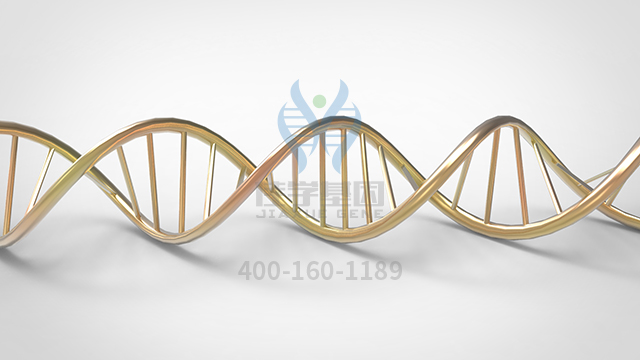 【佳學基因檢測】先天性糖基化疾病II型基因解碼、<a href=http://deyicom.cn/tk/jiema/cexujishu/2021/31933.html>基因檢測</a>可以只做基因解碼嗎？