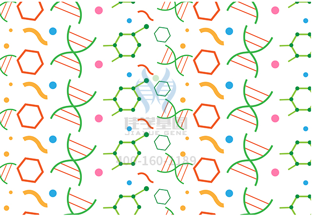 【佳學(xué)基因檢測(cè)】耳聾常染色體隱性12型基因解碼、<a href=http://deyicom.cn/tk/jiema/cexujishu/2021/31933.html>基因檢測(cè)</a>可以只做基因解碼嗎？