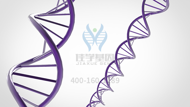 【佳學(xué)基因檢測】做甲狀腺機能亢進(jìn)癥性周期性麻痹2基因解碼、<a href=http://deyicom.cn/tk/jiema/cexujishu/2021/31933.html>基因檢測</a>采用什么樣品？