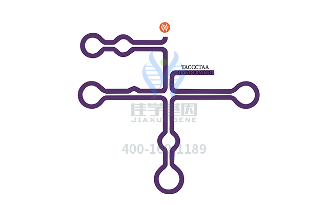 【佳學基因檢測】做阿拉吉綜合征2型基因解碼、<a href=http://deyicom.cn/tk/jiema/cexujishu/2021/31933.html>基因檢測</a>需要到總部嗎？