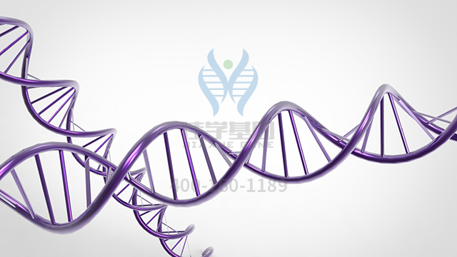 【佳學基因檢測】如何做先天性肌強直綜合征18型基因解碼、<a href=http://deyicom.cn/tk/jiema/cexujishu/2021/31933.html>基因檢測</a>？