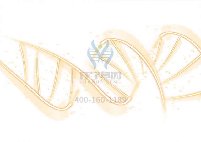 【佳學(xué)基因檢測】重癥肌無力綜合征先天性22型基因解碼、<a href=http://deyicom.cn/tk/jiema/cexujishu/2021/31933.html>基因檢測</a>報(bào)告看得懂嗎？