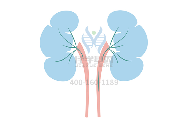 【佳學(xué)基因檢測(cè)】做酒精依賴基因解碼、<a href=http://deyicom.cn/tk/jiema/cexujishu/2021/31933.html>基因檢測(cè)</a>需要多長時(shí)間？