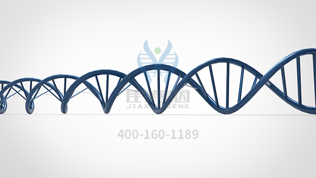 【佳學(xué)基因檢測(cè)】耳聾常染色體隱性84b型基因解碼、<a href=http://deyicom.cn/tk/jiema/cexujishu/2021/31933.html>基因檢測(cè)</a>的樣品有區(qū)別嗎？