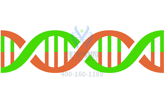 【佳學(xué)基因檢測(cè)】外胚層發(fā)育不良皮膚脆弱綜合征基因解碼、<a href=http://deyicom.cn/tk/jiema/cexujishu/2021/31933.html>基因檢測(cè)</a>有什么用？