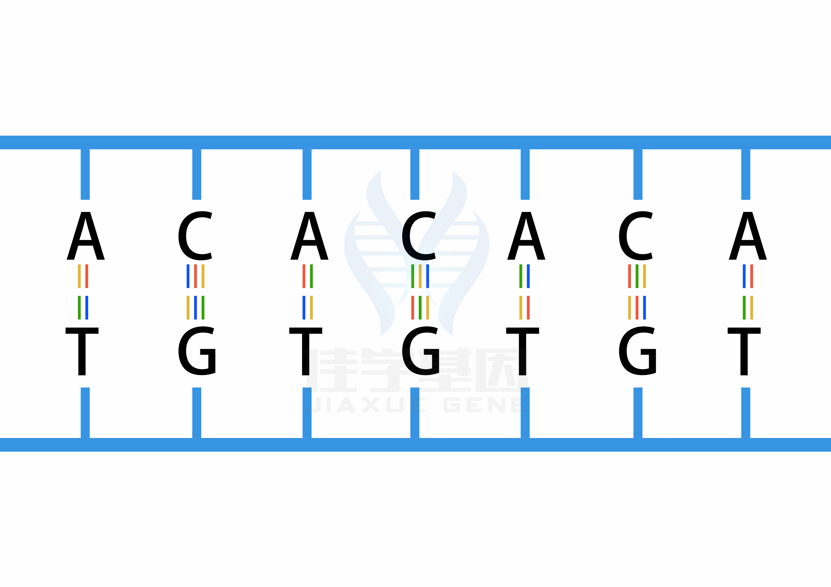 【佳學(xué)基因檢測】什么人要做性腺機能減退糖尿病<font color='red'>脫發(fā)</font>智力低下和心電圖異常基因解碼、<a href=http://deyicom.cn/tk/jiema/cexujishu/2021/31933.html>基因檢測</a>？